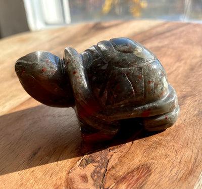 African Bloodstone Turtle - Maganda Creations